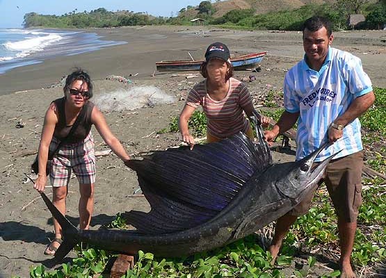 cebaco-panama-04