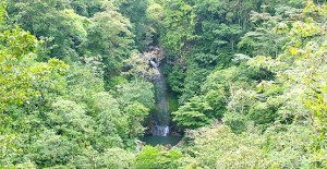 Cerro La Vieja