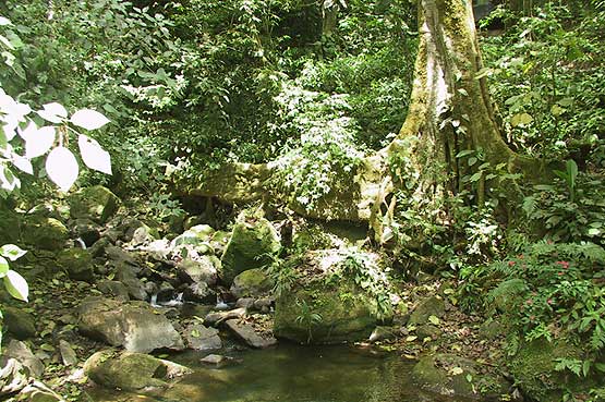 el-valle-panama-07