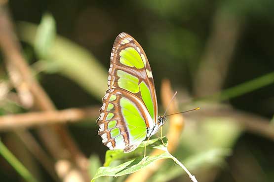 parque-metropolitano-08