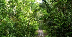 Soberania National Park