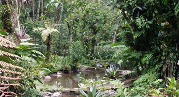 Chiriquí Highlands Fair