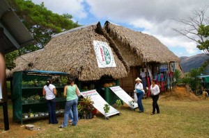 Santa Fé de Veraguas Fair