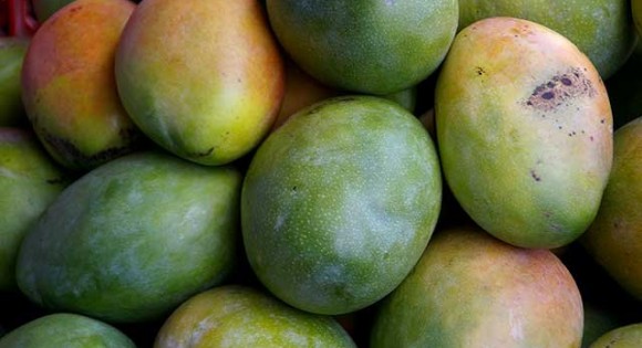 Mango Festival