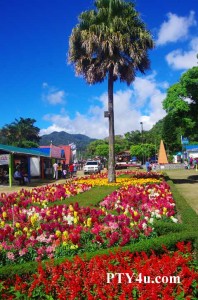 Flower and Coffee Fair