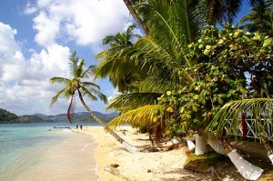 Isla Grande Colon Panama