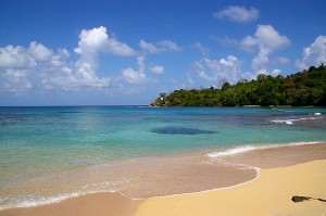 Isla Grande Colon Panama