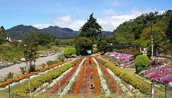 Boquete 2023 Flower and Coffee Fair