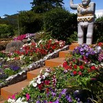 Boquete Flower and Coffee Fair
