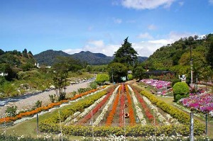 Flower and Coffee Fair