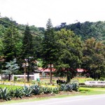 Hotel Bambito