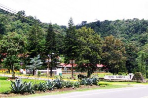 Hotel Bambito
