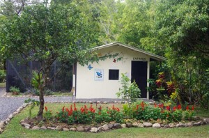 Butterfly Haven, El Valle, Panama