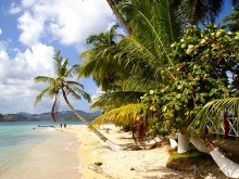 Isla Grande Colon Panama