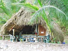 Beach Bar