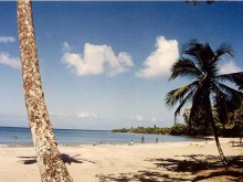 Playa Langoasta