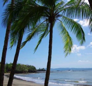 Beach in Santa Catalina