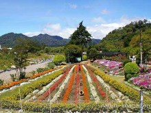 feria-flores-boquete