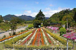 feria-flores-boquete