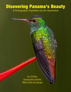 Discovering Panama's Beauty